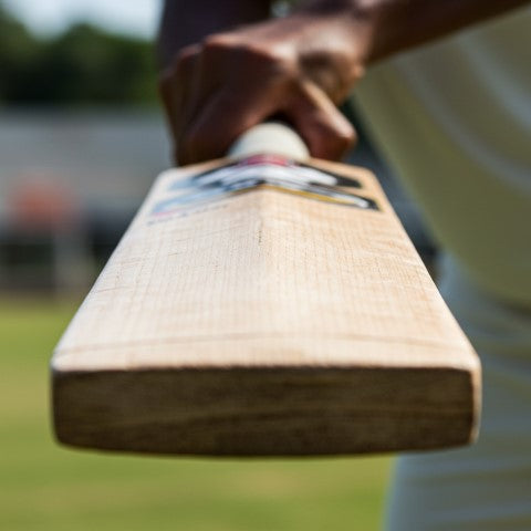 From Heavy to Hollow: How Cricket Bat Weight Affects Power and Timing