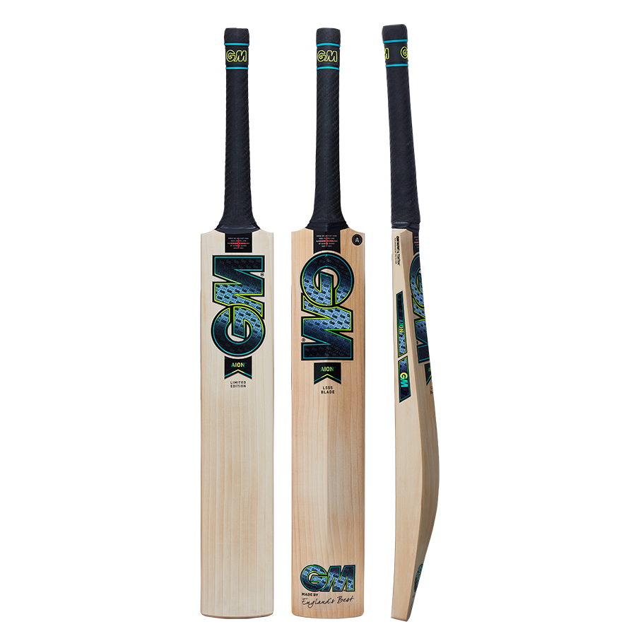 Gunn & Moore Aion cricket bat