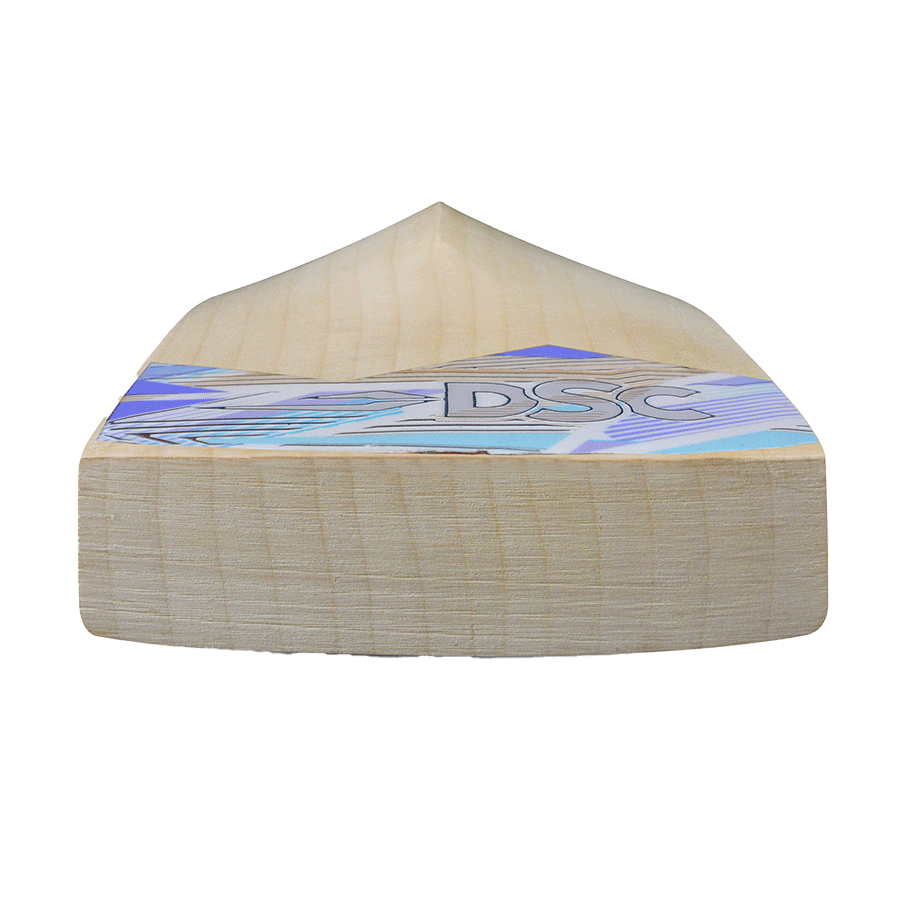 DSC Pearla X3 Cricket Bat 2026