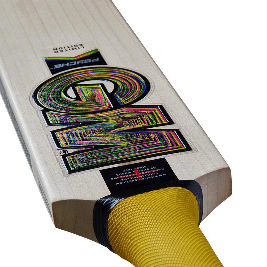 Gunn & Moore Psyche 808 Cricket Bat 2025