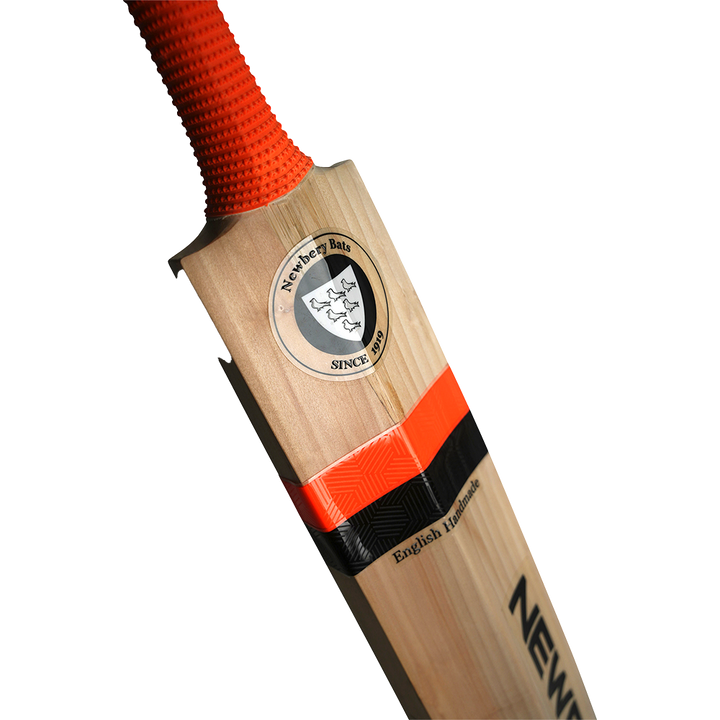 Newbery Master 100 Players Cricket Bat 2025