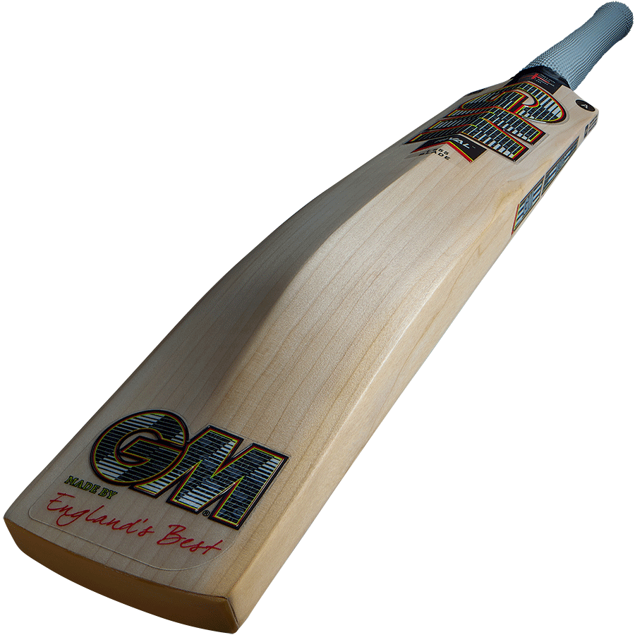 Gunn & Moore Rival 808 Junior Cricket Bat 2026