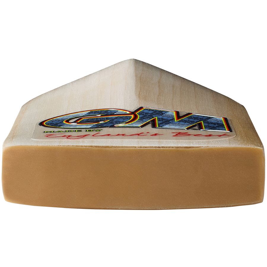 Gunn & Moore Rival Original Cricket Bat 2026