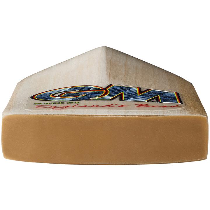 Gunn & Moore Rival 606 Cricket Bat 2026